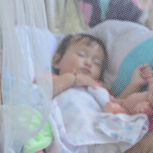 Mosquito Net